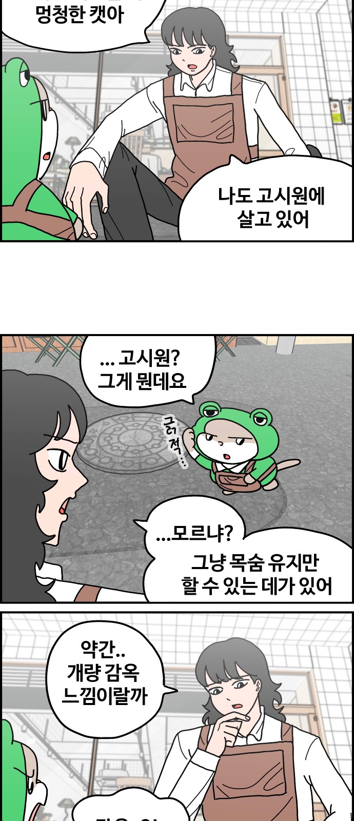 5 페이지