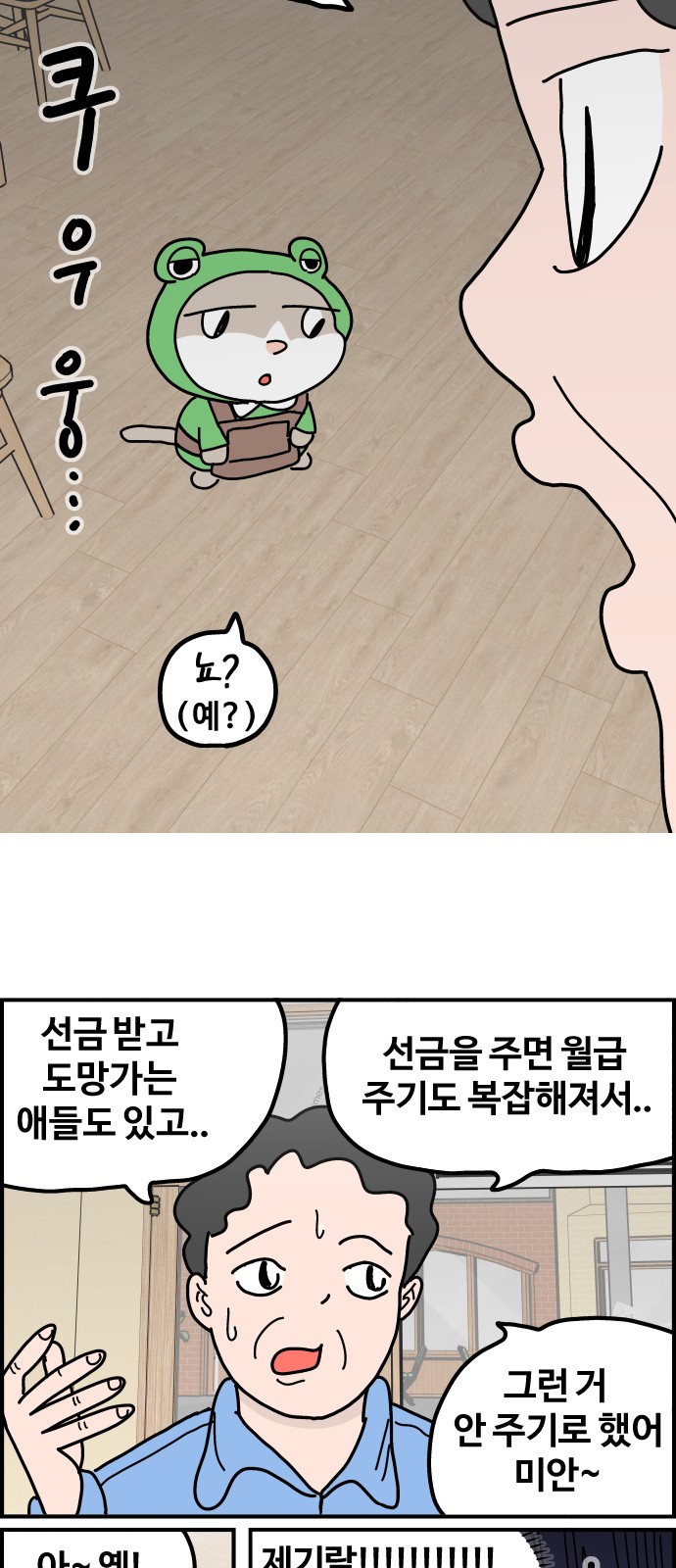 16 페이지