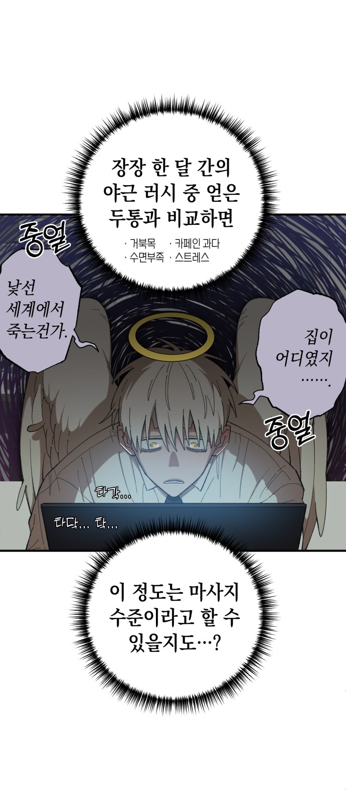 81 페이지