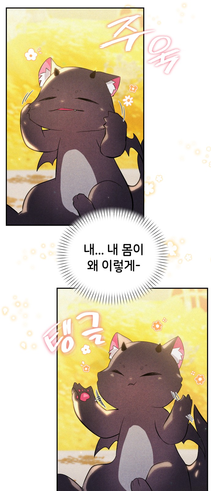 50 페이지