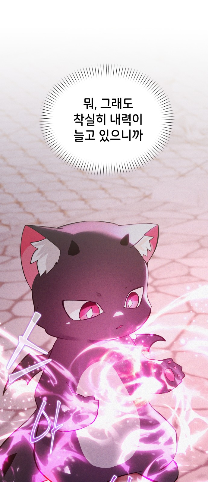 66 페이지