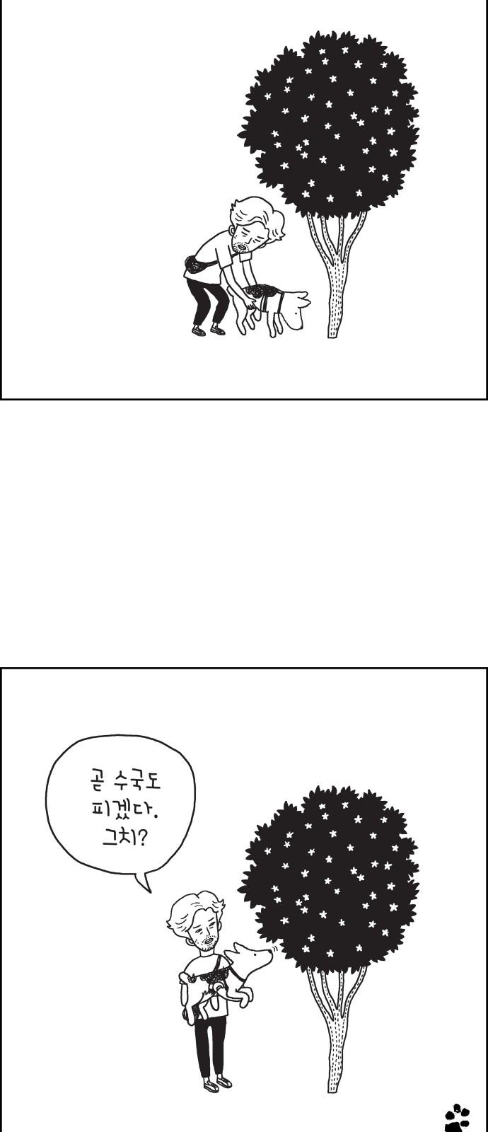 11 페이지