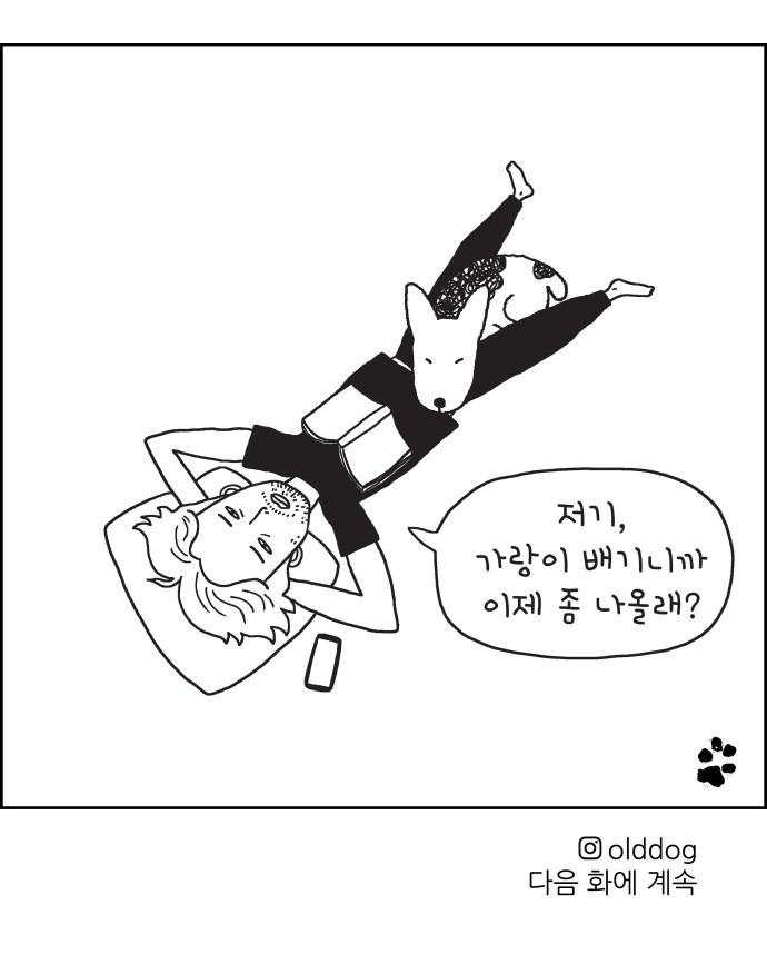 24 페이지