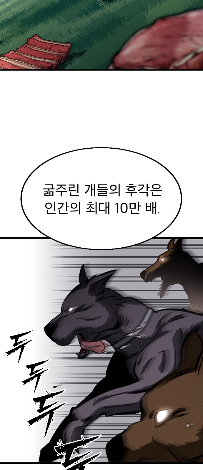 53 페이지
