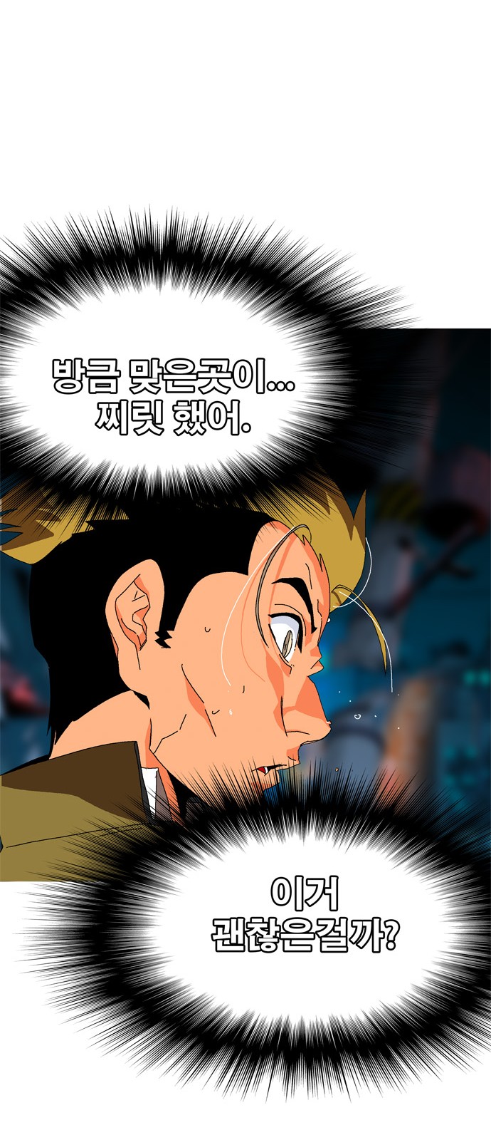 46 페이지