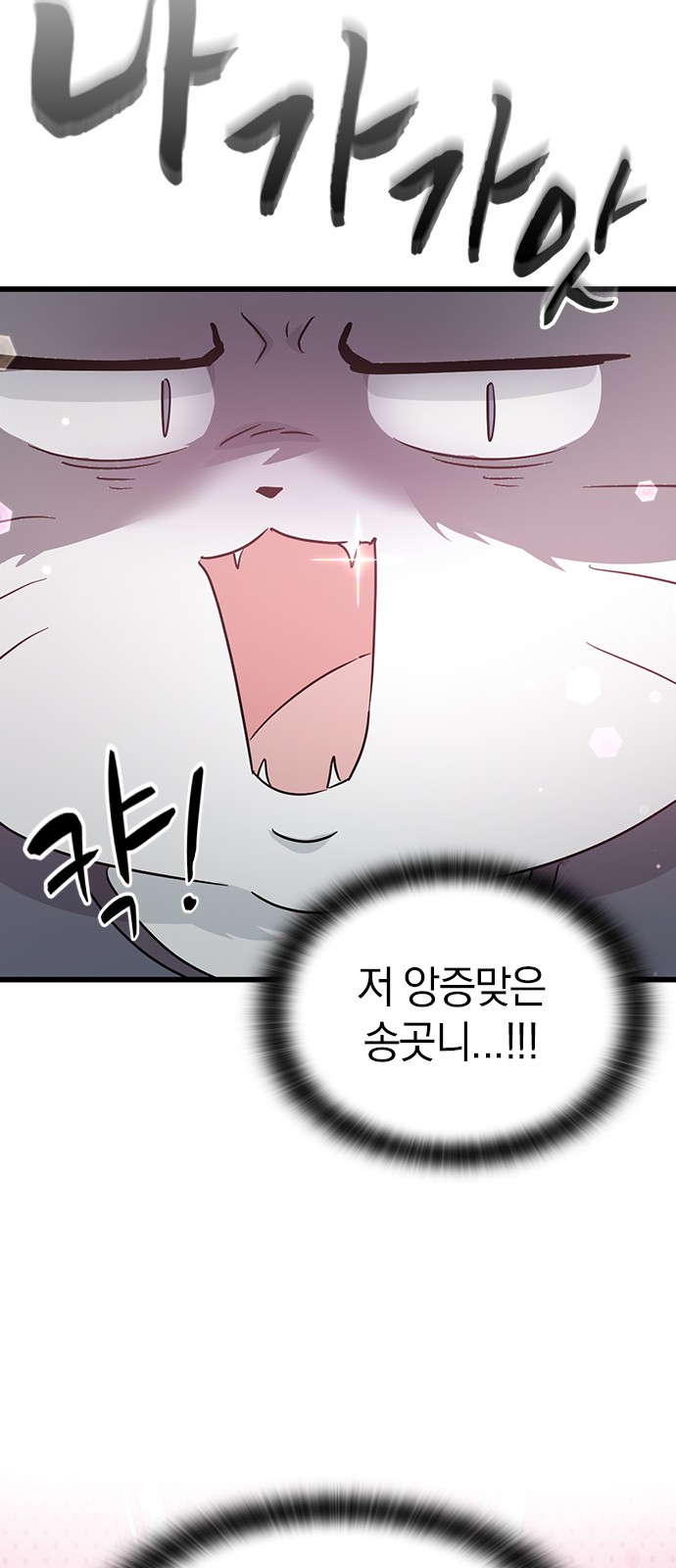 115 페이지