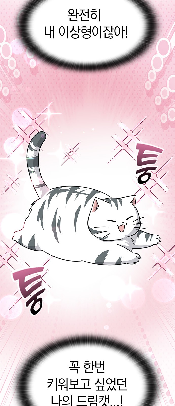 116 페이지