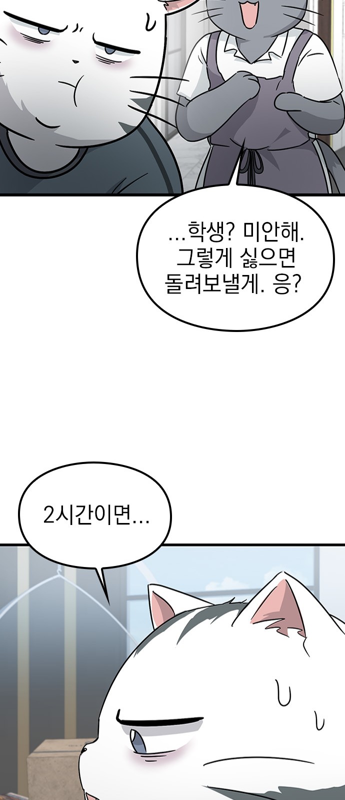 136 페이지