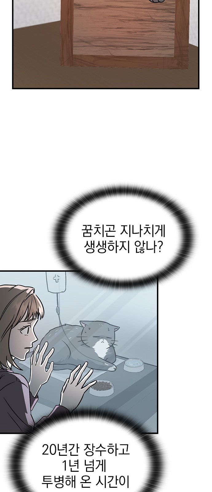 30 페이지