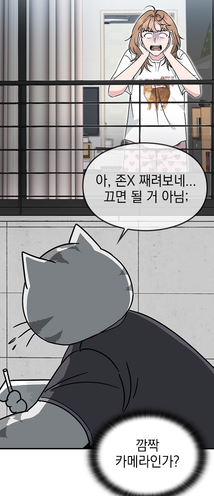 45 페이지
