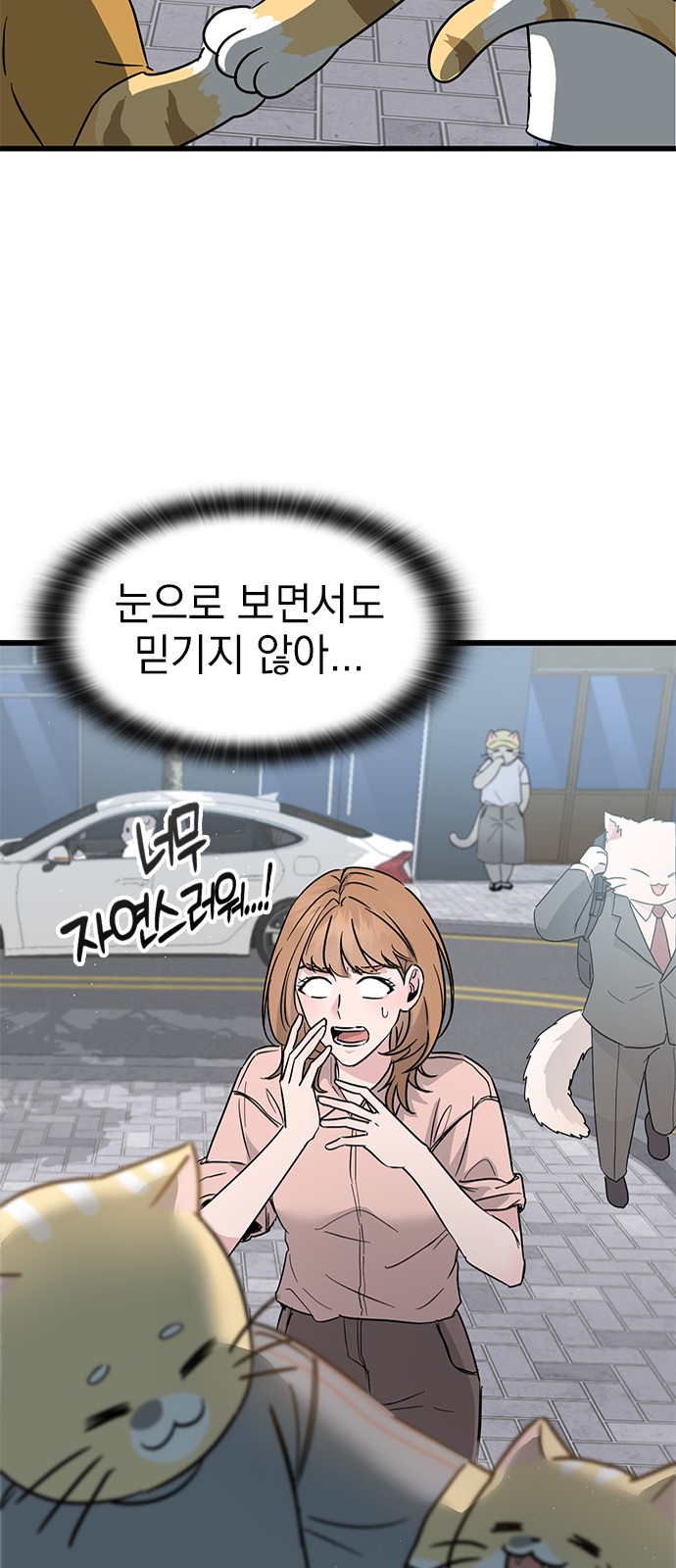 72 페이지