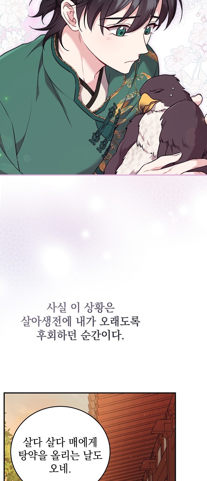 62 페이지