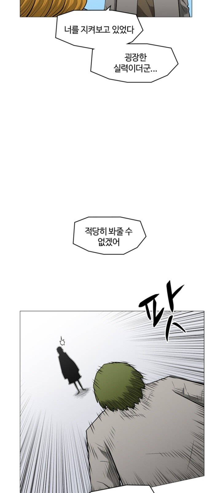 30 페이지