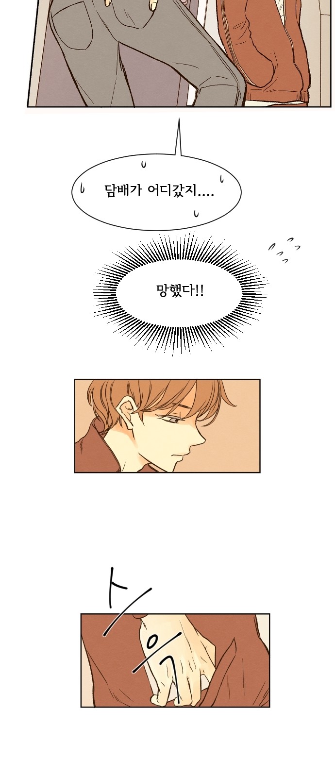 15 페이지